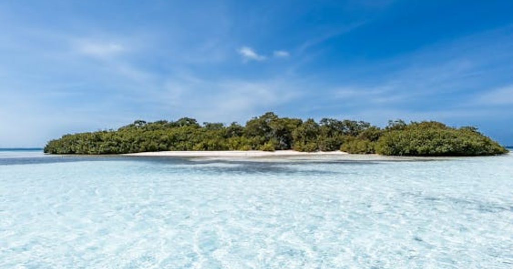 Cayo arena