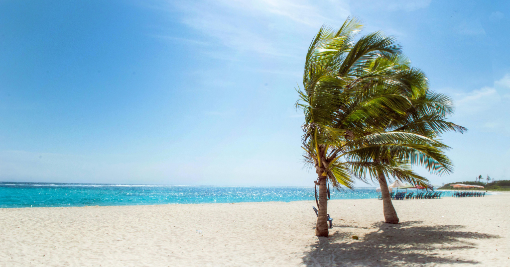 Sunny day Punta Cana