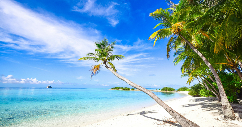 Saona Island