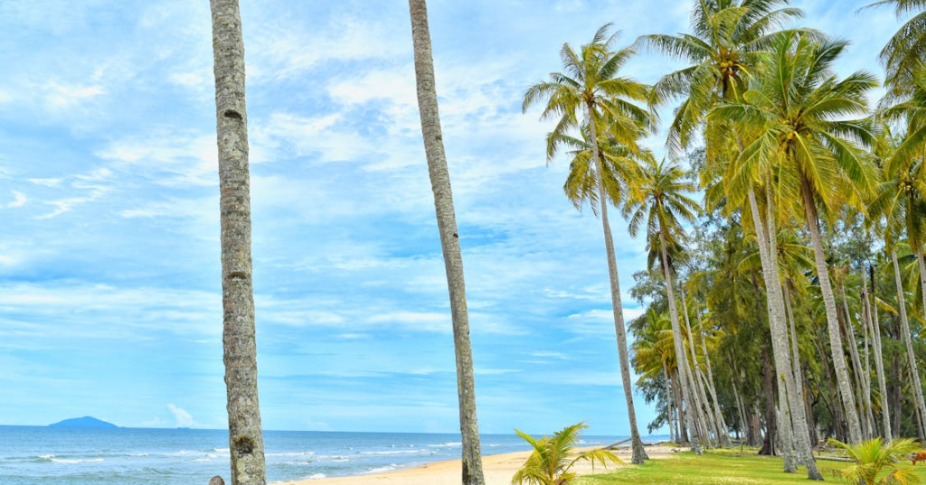 Punta Cana