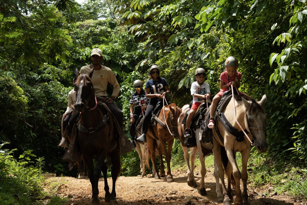 Recorrido a caballo a través de las montañas en La Hacienda Park