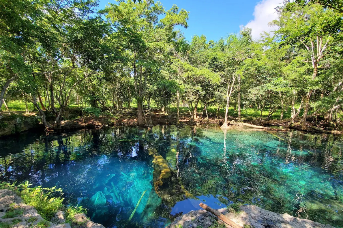 Paisaje de un Cenote en República Dominicana