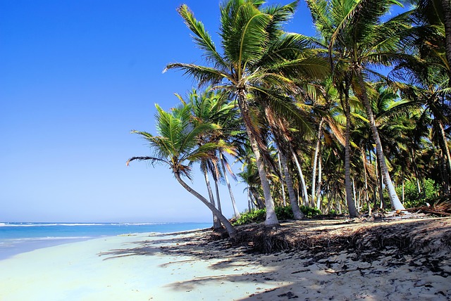 Playa punta cana