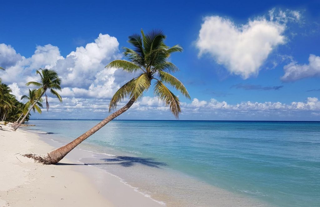 Ir a isla saona