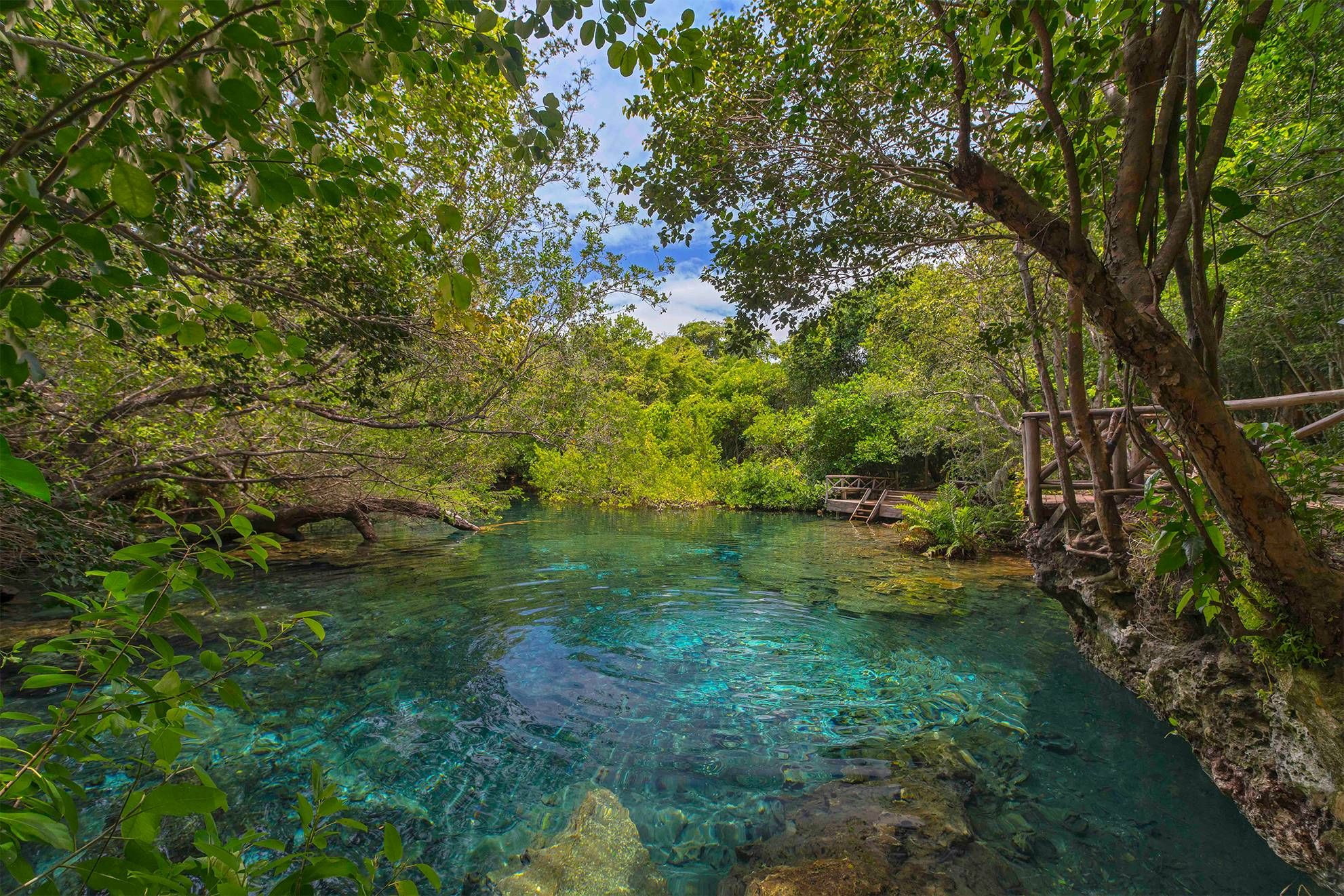 Indigenous Eyes Ecological Reserve