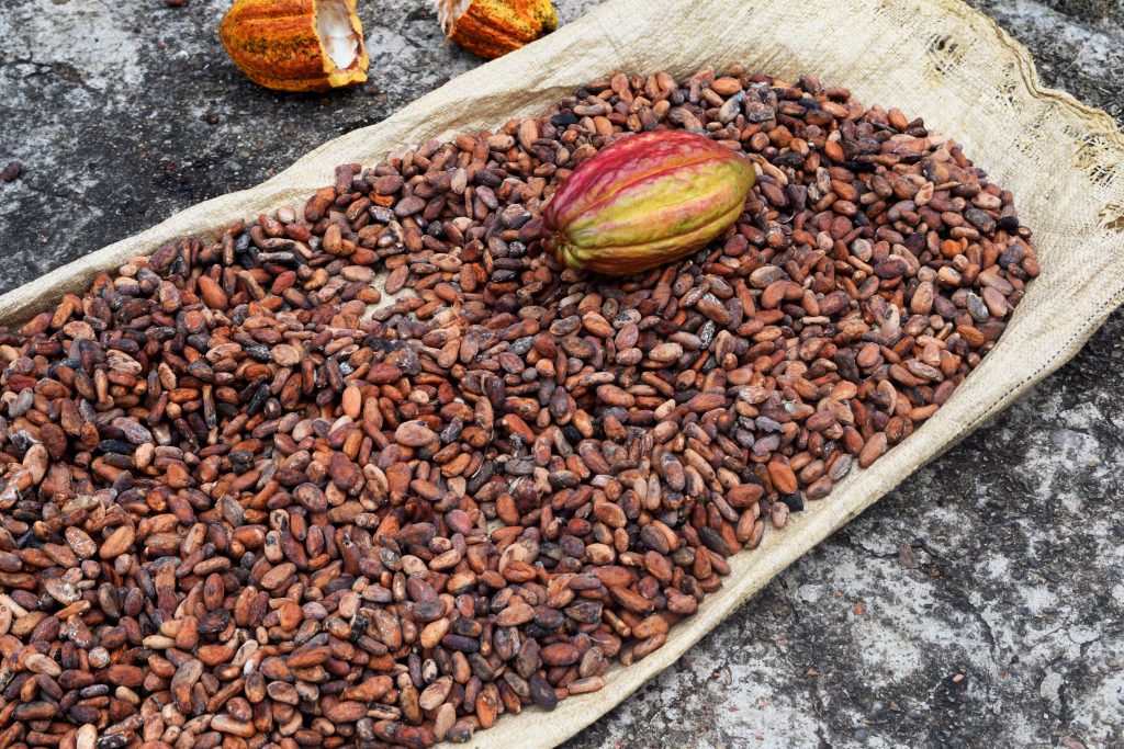 Dominican Hot Chocolate recipe