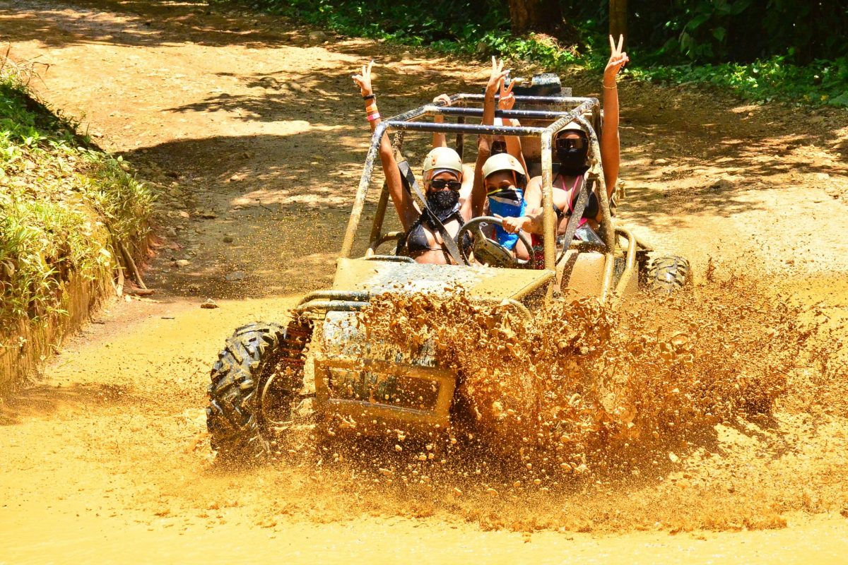 Buggies