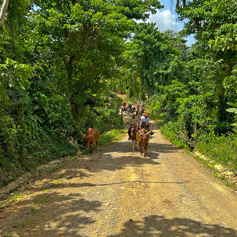 La Hacienda Park VIP