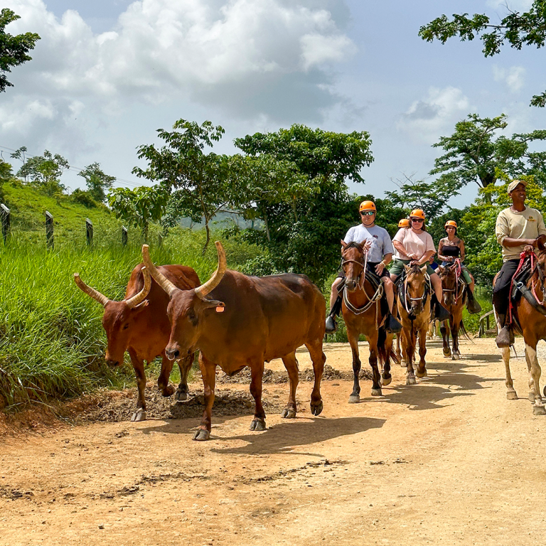La Hacienda Park VIP