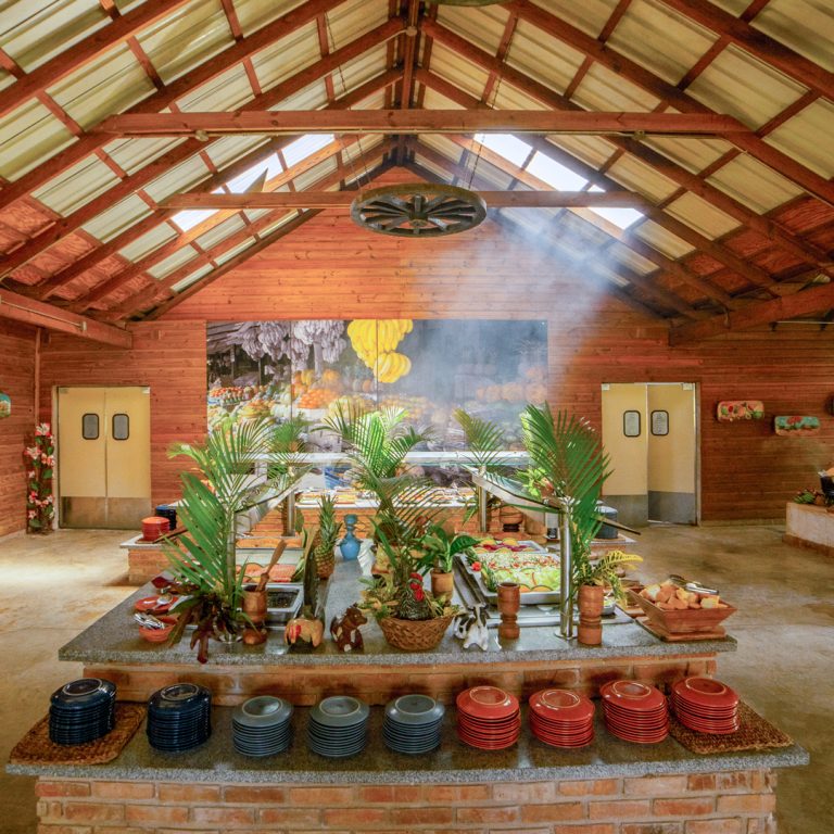 Buffet dominicano, comida dominicana