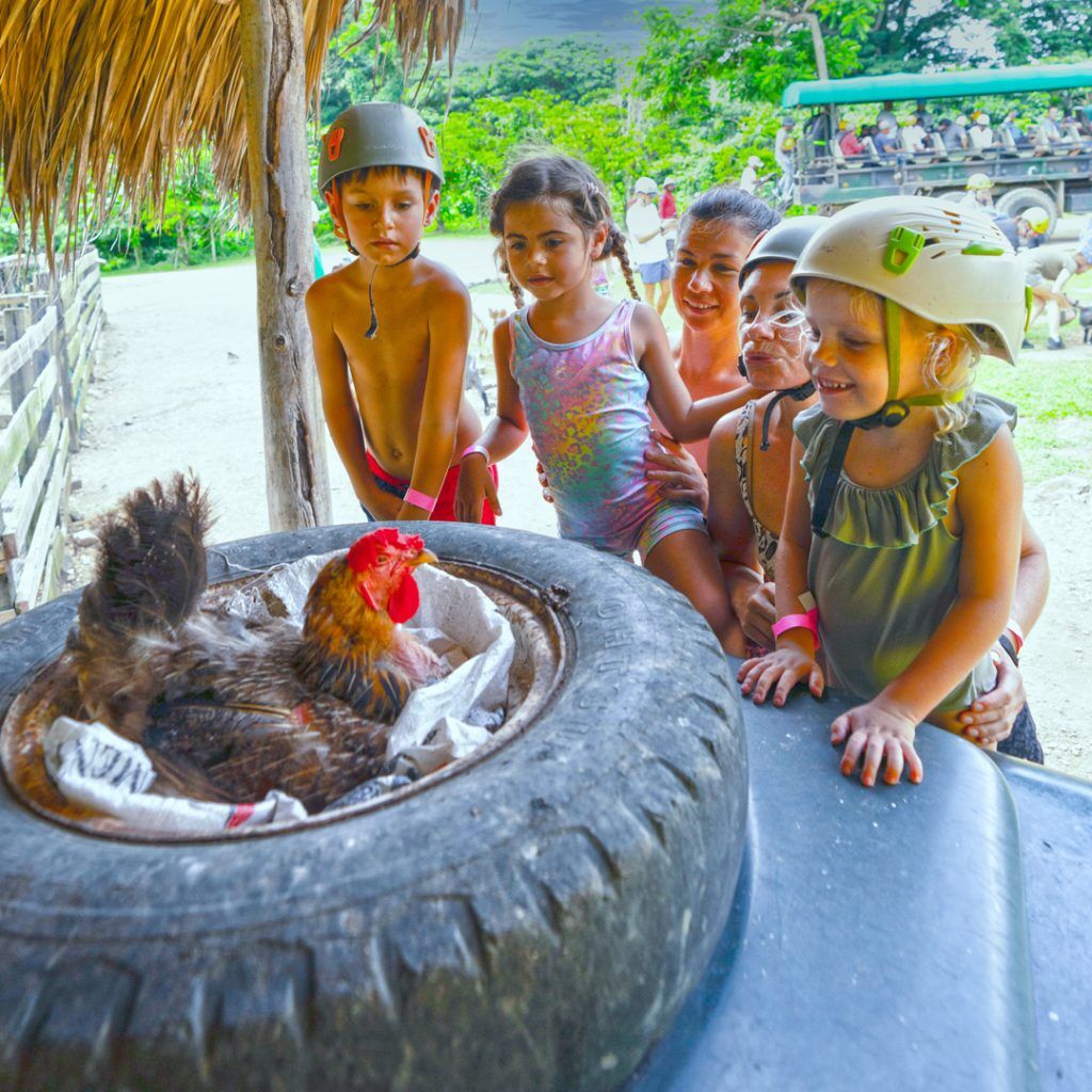 Safari Punta Cana