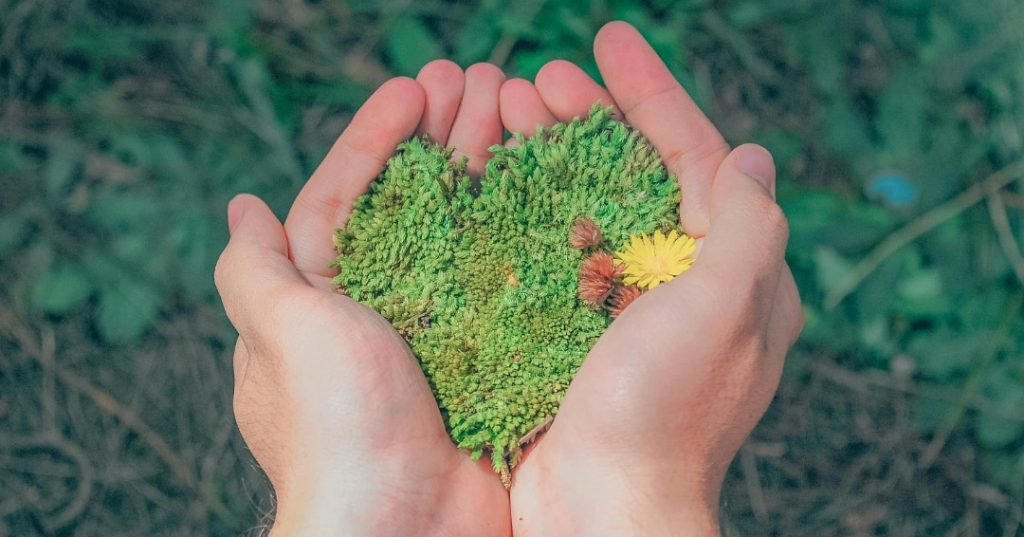 Naturaleza República Dominicana