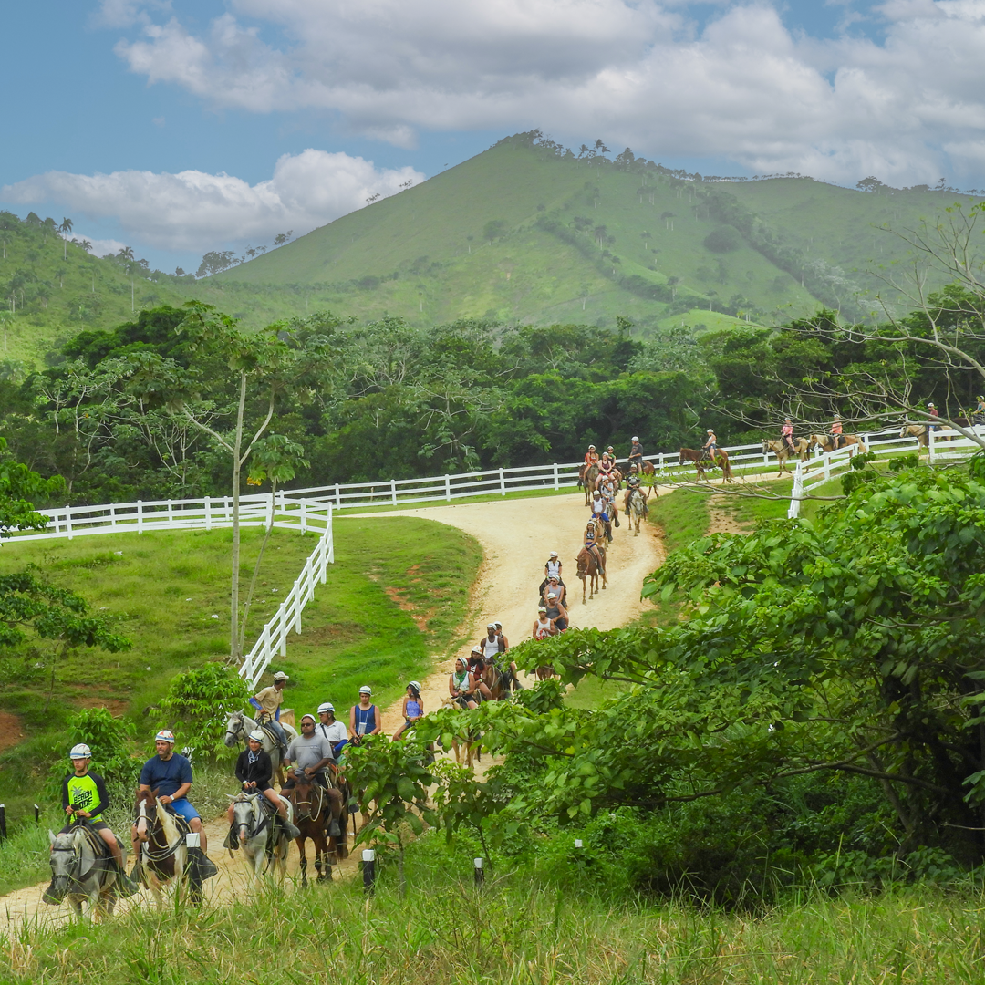 cosas que hacer en Punta Cana, paseo a caballo