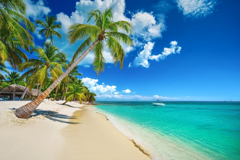 Saona island in the Dominican Republic