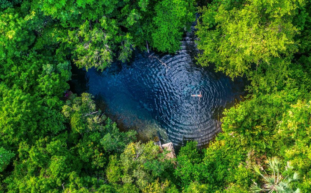 Indigenous Eyes Ecological Reserve