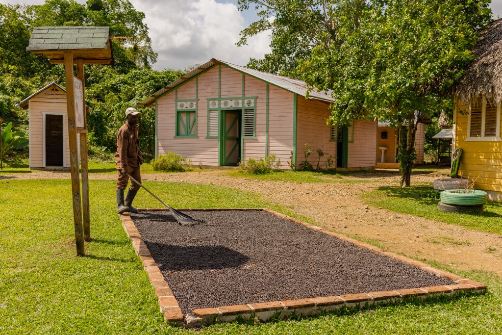 Dominican coffee at La Hacienda Park