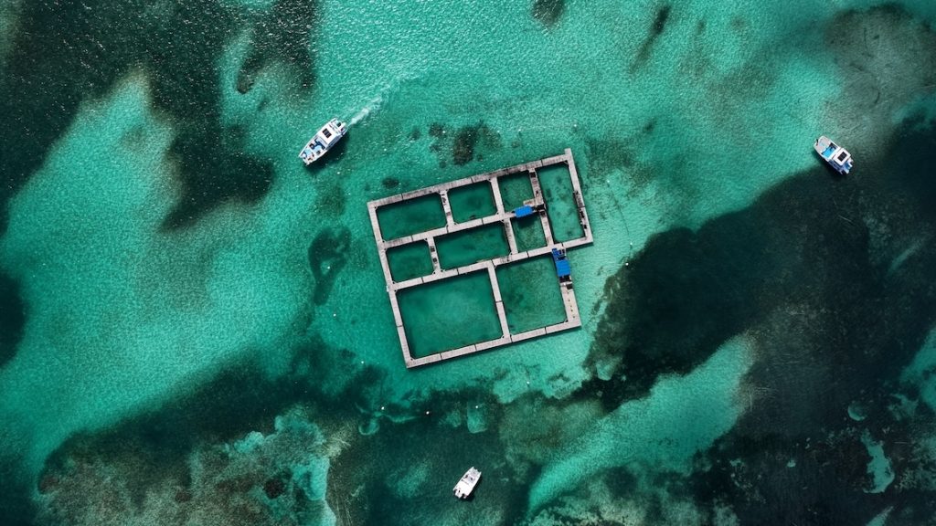 Where to Buy Tour in Punta Cana?