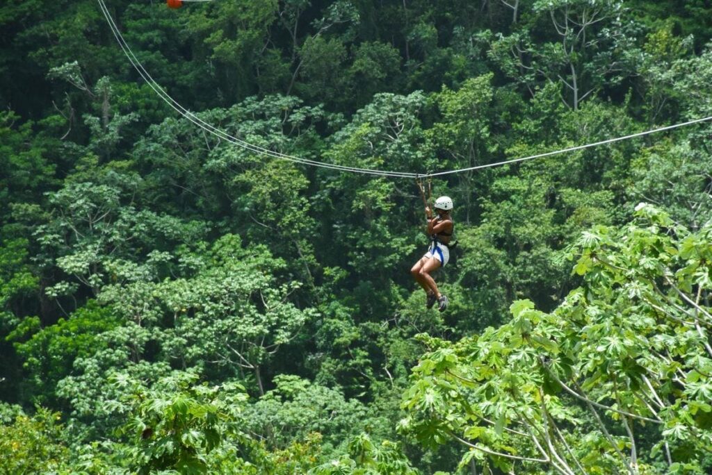 La Hacienda Park zipline circuit