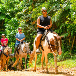 Cuánto cuesta un viaje a Punta cana