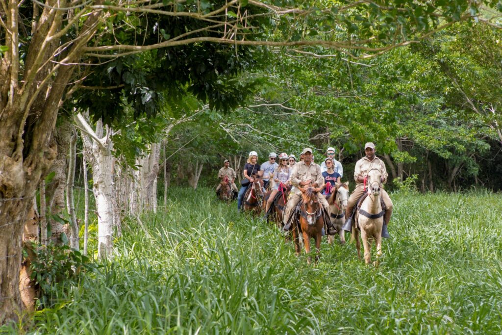 Cabalgata en Punta Cana