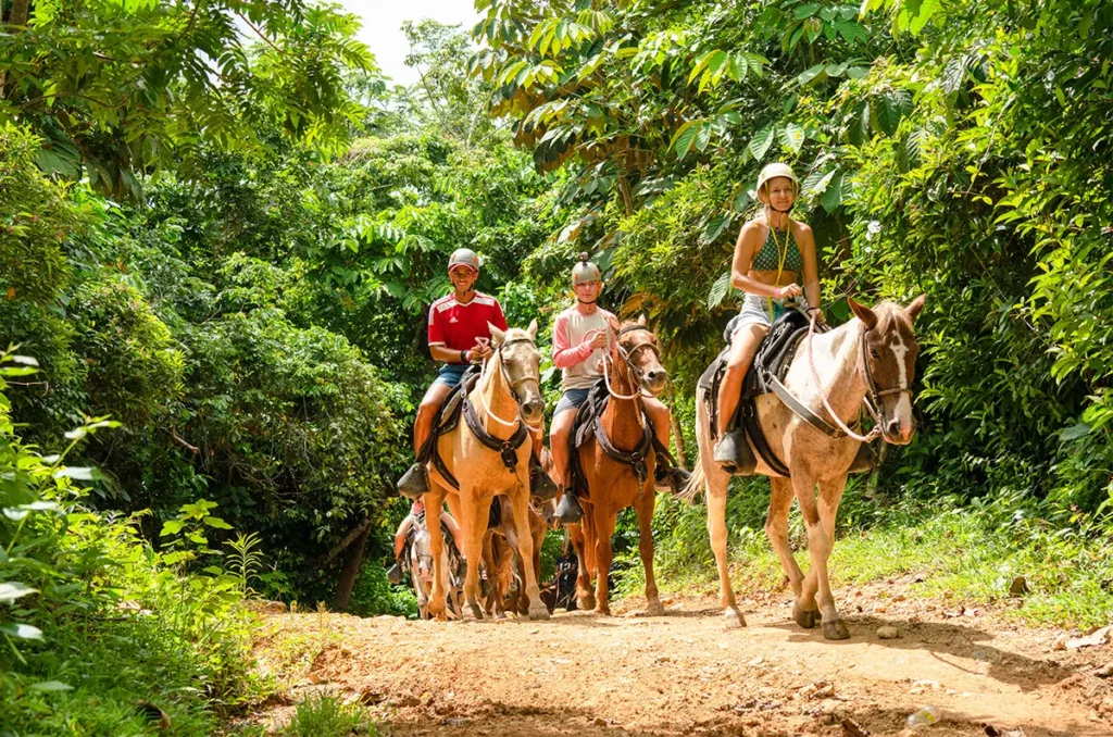 Experiencias VIP Punta Cana