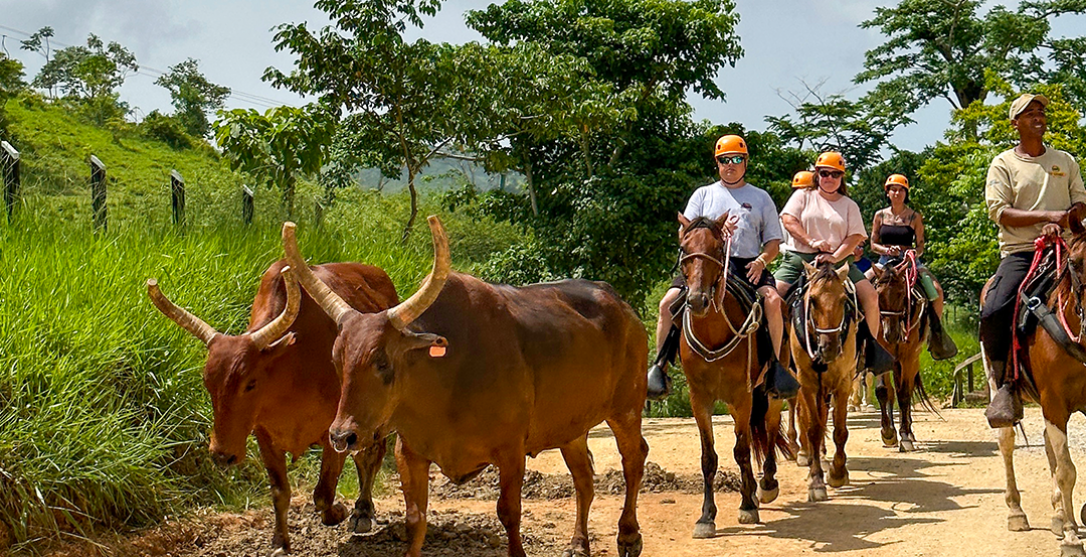 La Hacienda Park VIP
