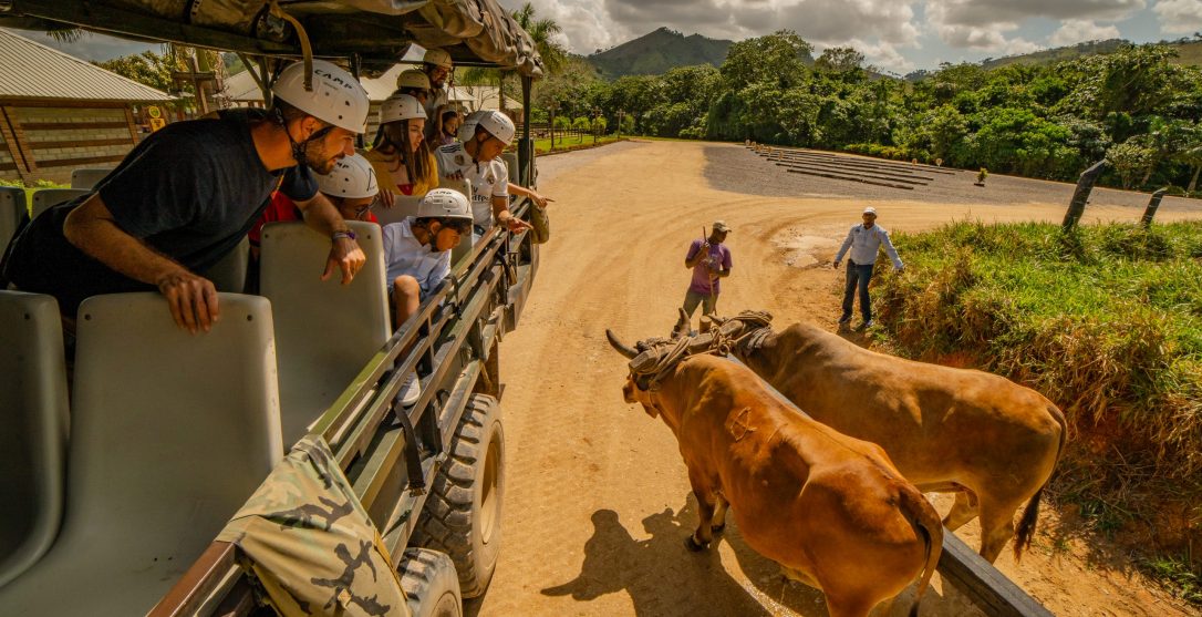Actividades para hacer en Punta Cana, Safari Cultural