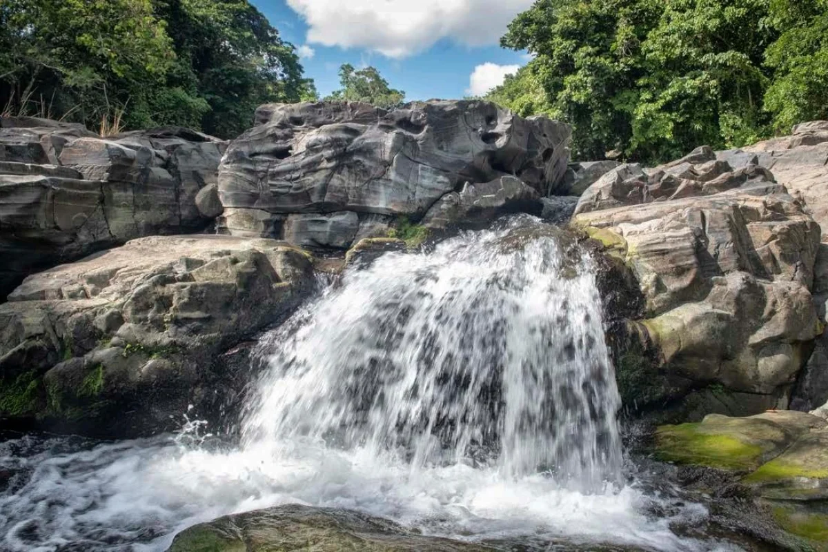 Rio-Anamuya-LHP